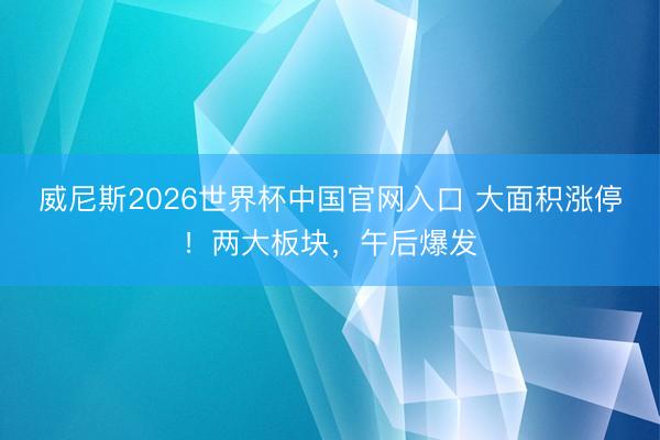 威尼斯2026世界杯中国官网入口 大面积涨停！两大板块，午后爆发