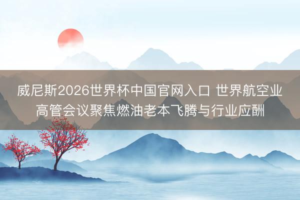 威尼斯2026世界杯中国官网入口 世界航空业高管会议聚焦燃油老本飞腾与行业应酬