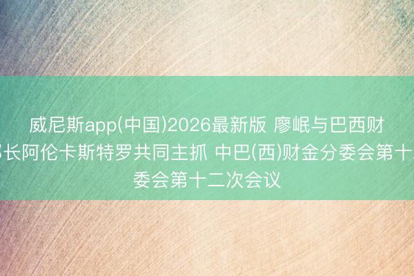 威尼斯app(中国)2026最新版 廖岷与巴西财政部副部长阿伦卡斯特罗共同主抓 中巴(西)财金分委会第十二次会议