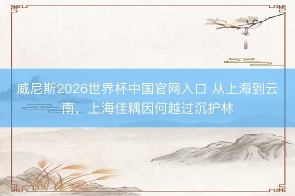 威尼斯2026世界杯中国官网入口 从上海到云南,上海佳耦因何越过沉护林