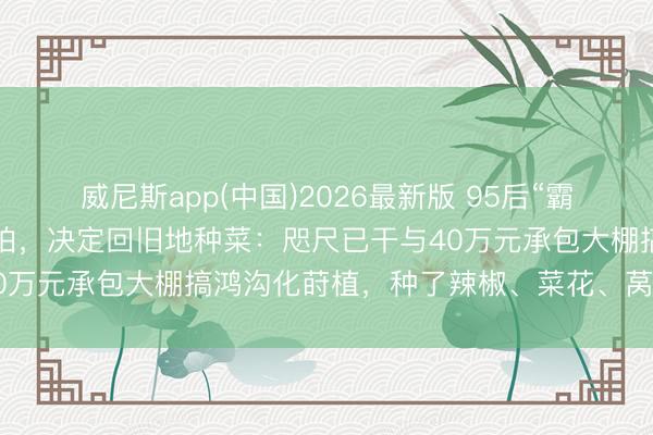 威尼斯app(中国)2026最新版 95后“霸总”男演员称半个月没戏拍，决定回旧地种菜：咫尺已干与40万元承包大棚搞鸿沟化莳植，种了辣椒、菜花、莴苣等作物