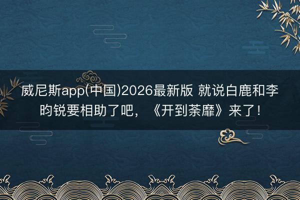 威尼斯app(中国)2026最新版 就说白鹿和李昀锐要相助了吧，《开到荼靡》来了！